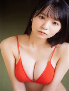 蒋介石和他的金主