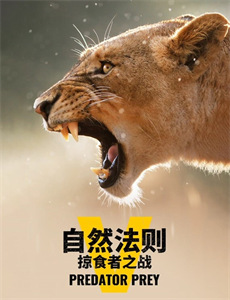 椿文具店:镰仓代笔物语