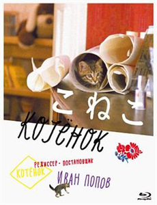 事故故事 第一季