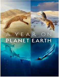 东北一家人第二部