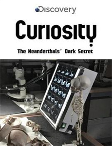 青春再次二十岁